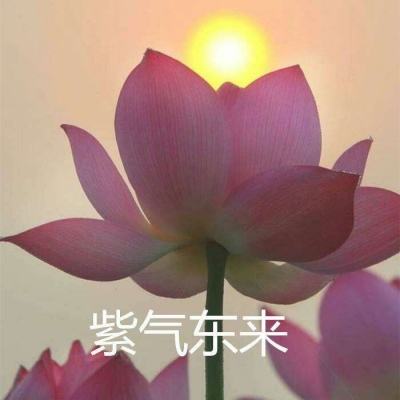 凌云剑狂最新版下载